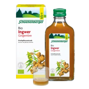Gingembre boisson de plantes fraîches bio